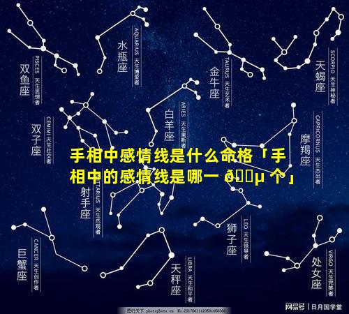 手相中感情线是什么命格「手相中的感情线是哪一 🌵 个」